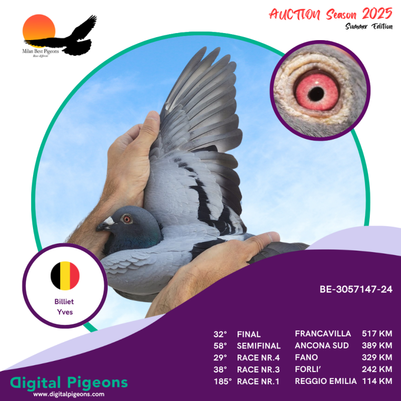 BE-3057147-24