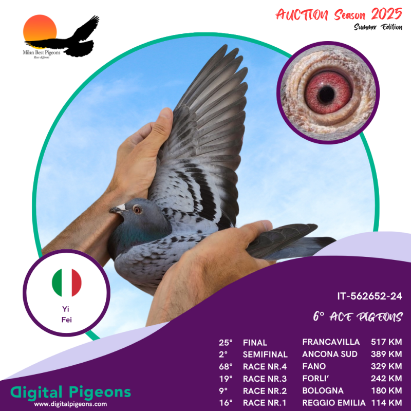 IT-562652-24