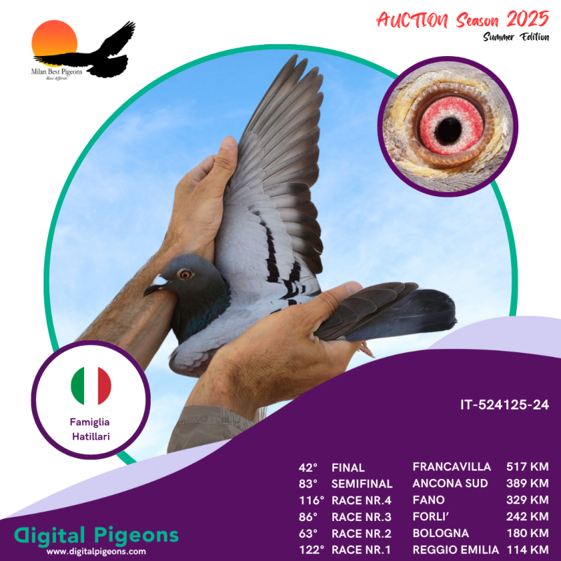 IT-524125-24