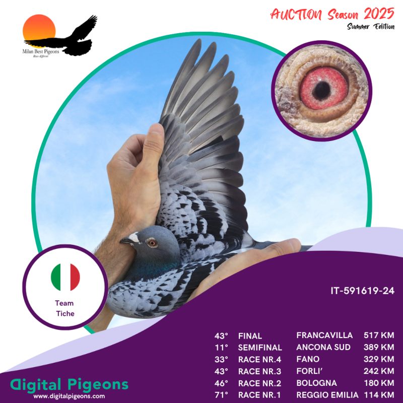 IT-591619-24