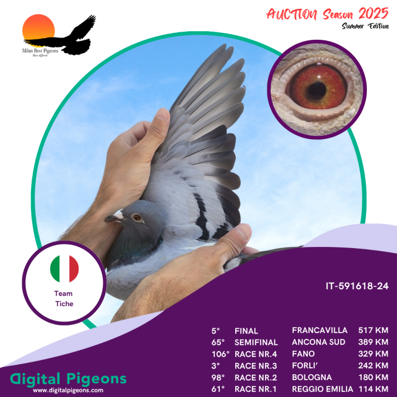 IT-591618-24