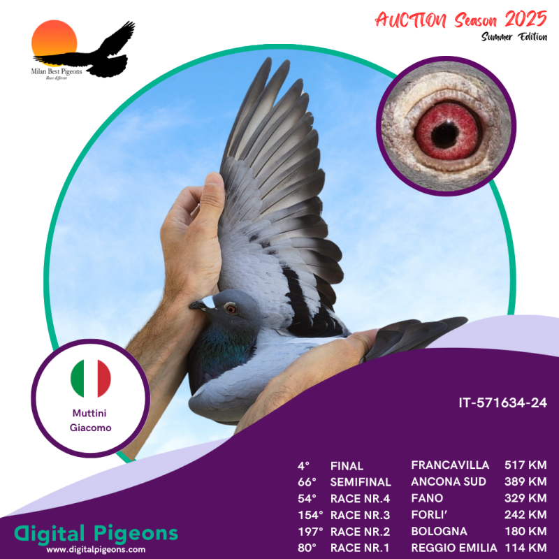 IT-571634-24