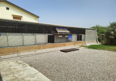 OLR - Milan Best Pigeons - Summer Edition 2024-2025
